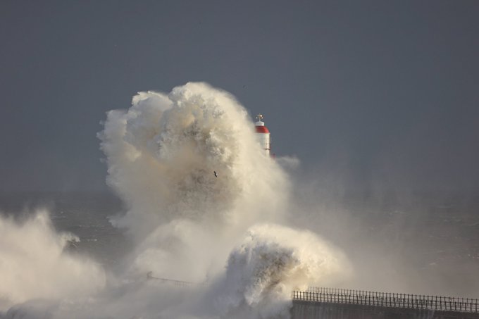 FFNdgowXoAYAdx-?format=jpg&name=small