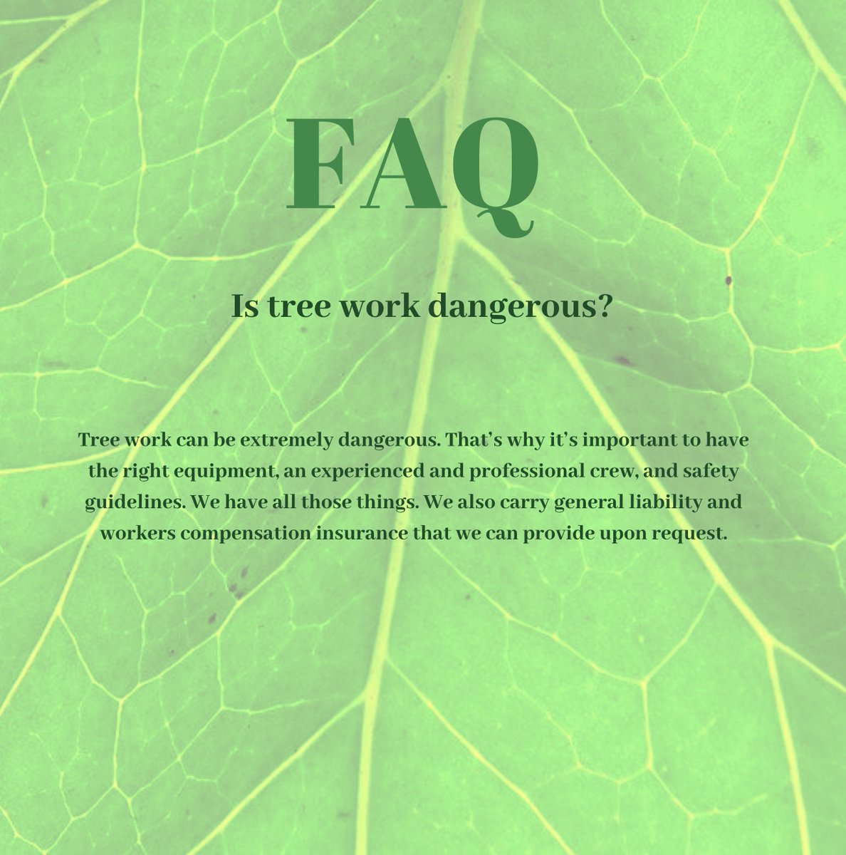 Check out our frequently asked questions! #aboveandbeyondtree #treecare 👍🌳