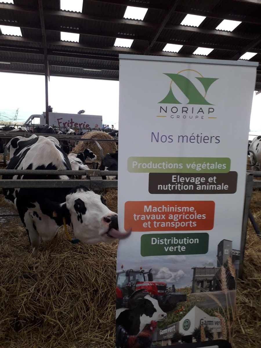 noriapcoop's tweet photo. Quand même les #vaches te likent 😎
Portes ouvertes #metha au Gaec Niquet avec #Yseo 😉
@ReneePREVOST80 @HubertLecat @agriKomp_Fr @ChouetteAgile @BegonThomas @CultivarElevage @ServtecPvNORIA @vanco76 @SucNicolas @EstelleCleuet https://t.co/uK3Vplpezr