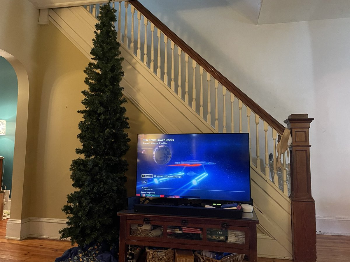 NukeHavoc's tweet photo. Time for the 2021 #GeekTree. This year, it’s nothing but #StarTrek ornaments. https://t.co/M2bj2OKXfN