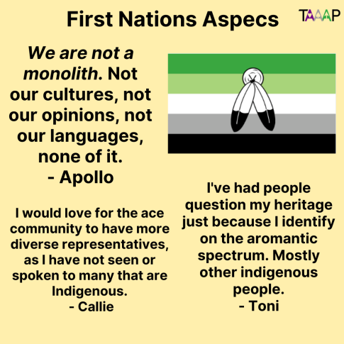 Text: First Nations Aspecs

We are not a monolith. Not our cultures, not our opinions, not our languages, none of it. - Apollo

I would love for the ace community to have more diverse representatives, as I have not seen or spoken to many that are Indigenous. - Callie

I've had people question my heritage just because I identify on the aromantic spectrum. Mostly other indigenous people. - Toni

Picture: The aromantic flag with the two spirit feathers