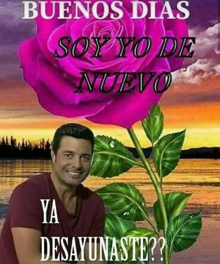 soft_lxten's tweet photo. @Chargebolt_1 literalmente no vi su tatuaje que decia SOY LA TRAIDORA que estupida yo https://t.co/DeqowwuwPu