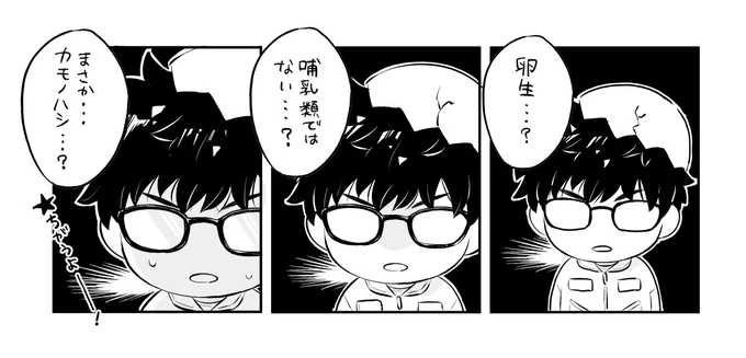 ピヨピヨの🐤ガーとは…?
とは…? 