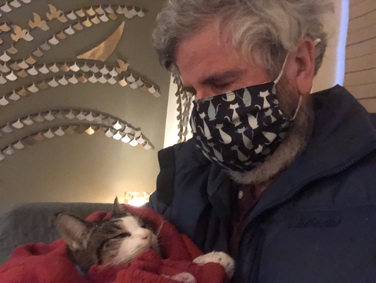 growingupzee's tweet image. At 6 this morning, Zee went into cardiac arrest.  I was contacted after 20 minutes of CPR, and concerned that she was suffering, authorized discontinuance of resuscitation attempts. Zee was a great cat, and I will miss her dearly.  Thank you all for your support.  #CatsOfTwitter