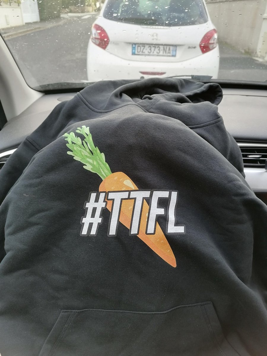 ChatonsCo's tweet photo. Merci @ABallNeverLies @LBallNeverLies @TrashTalk_fr il est trop beau ! #TTFLab #TTFL #Hexpert https://t.co/87rD0nw0OM