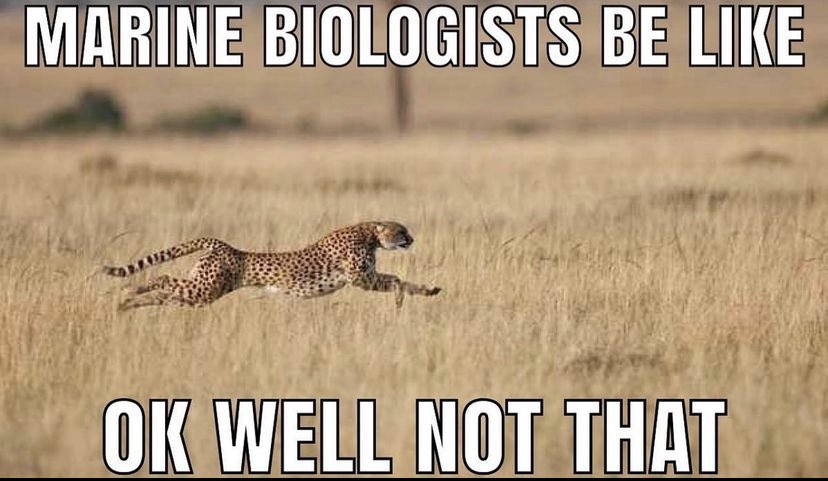 bailey moon (@baileymoon15) on Twitter photo 