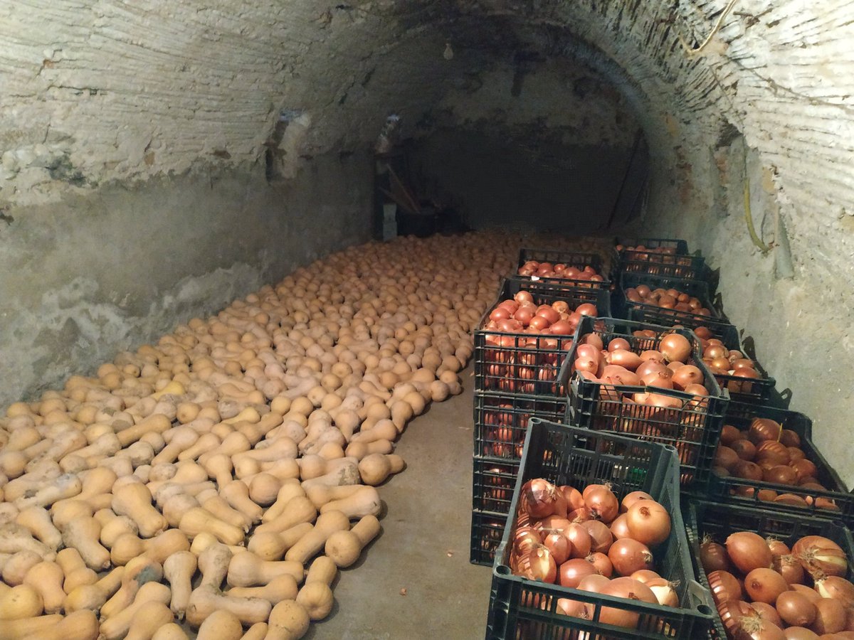 Baix Fluvià tweet media