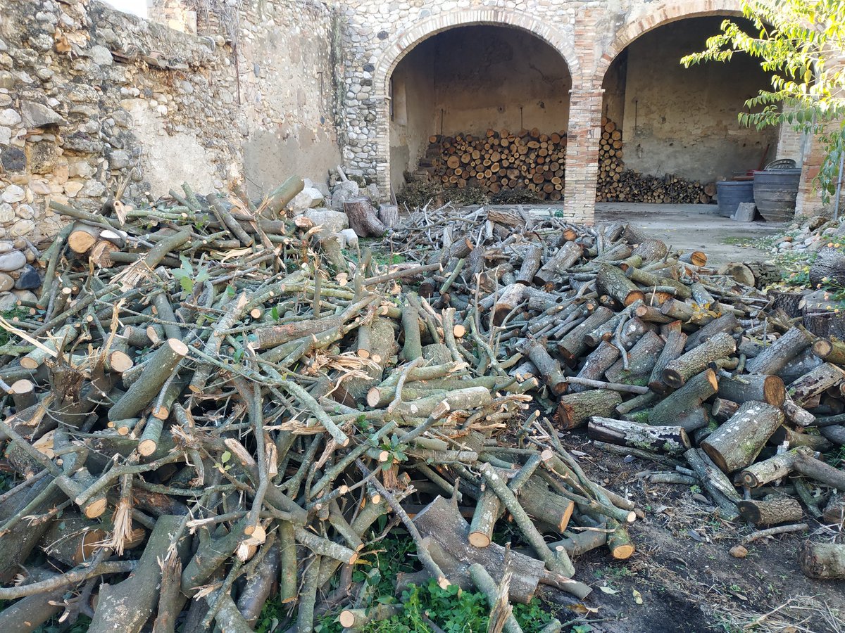 Baix Fluvià tweet media