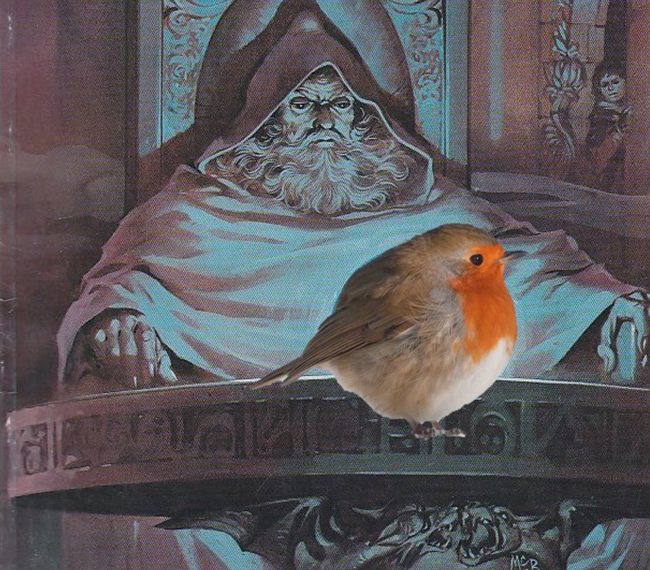 alexevans91's tweet photo. pondering my borb https://t.co/lUygHphGLS