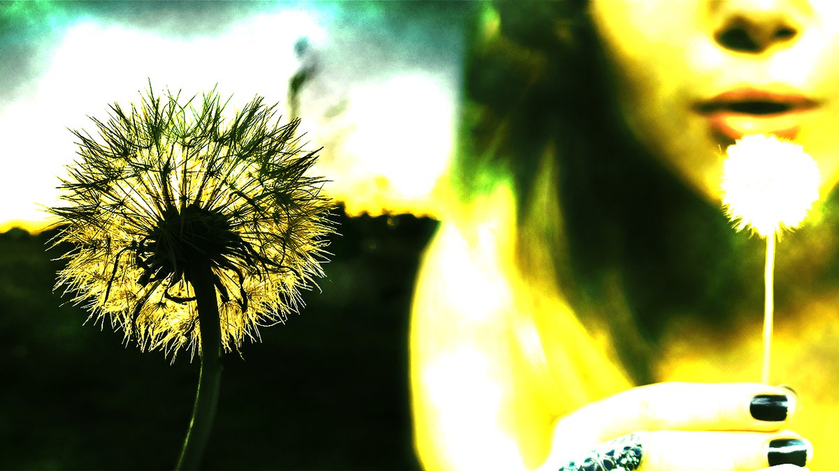 NEW VIDEO-  The Dandelion Platform - EURONET INSTANT SETTLEMENT PLATFORM! 
🚨🚨
youtu.be/DNqEd10uCU8
🚨🚨

if you retweet, you're eligible to win this NFT on the Algorand blockchain.  3 winners will be chosen in 24 hours.