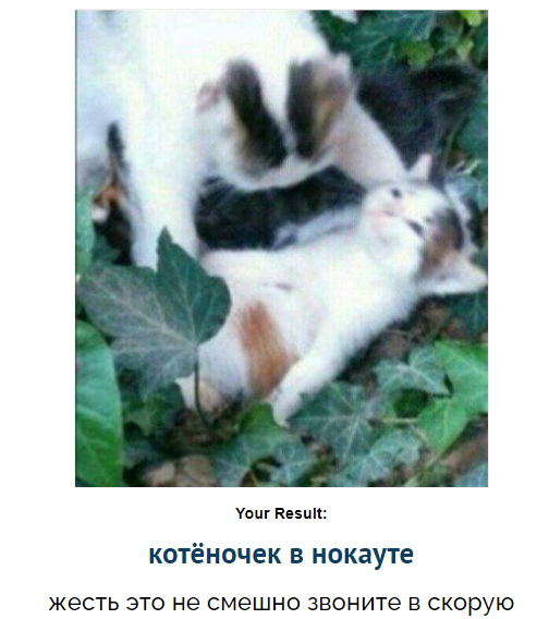iochoventanni's tweet photo. помогите ???? ????? ?? https://t.co/U633yO6dld