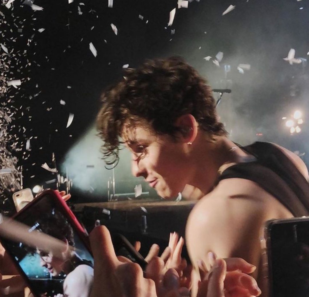 shawn mendes the tour.