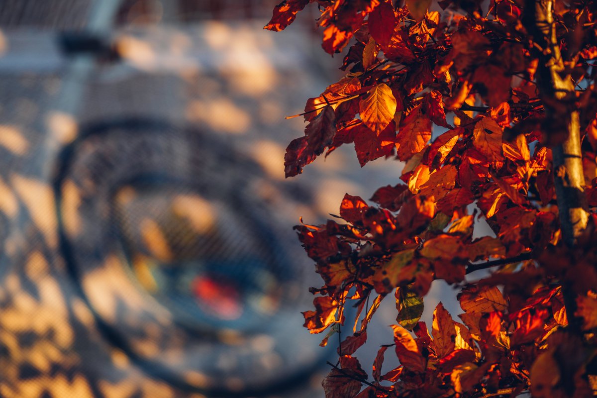 Sunset over the City! 🌅💙

#ManCity