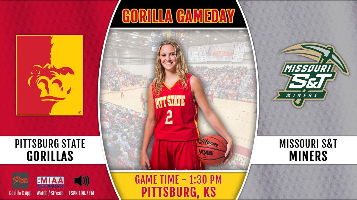 PittStGorillas's tweet photo. https://t.co/lKnUB6bII1