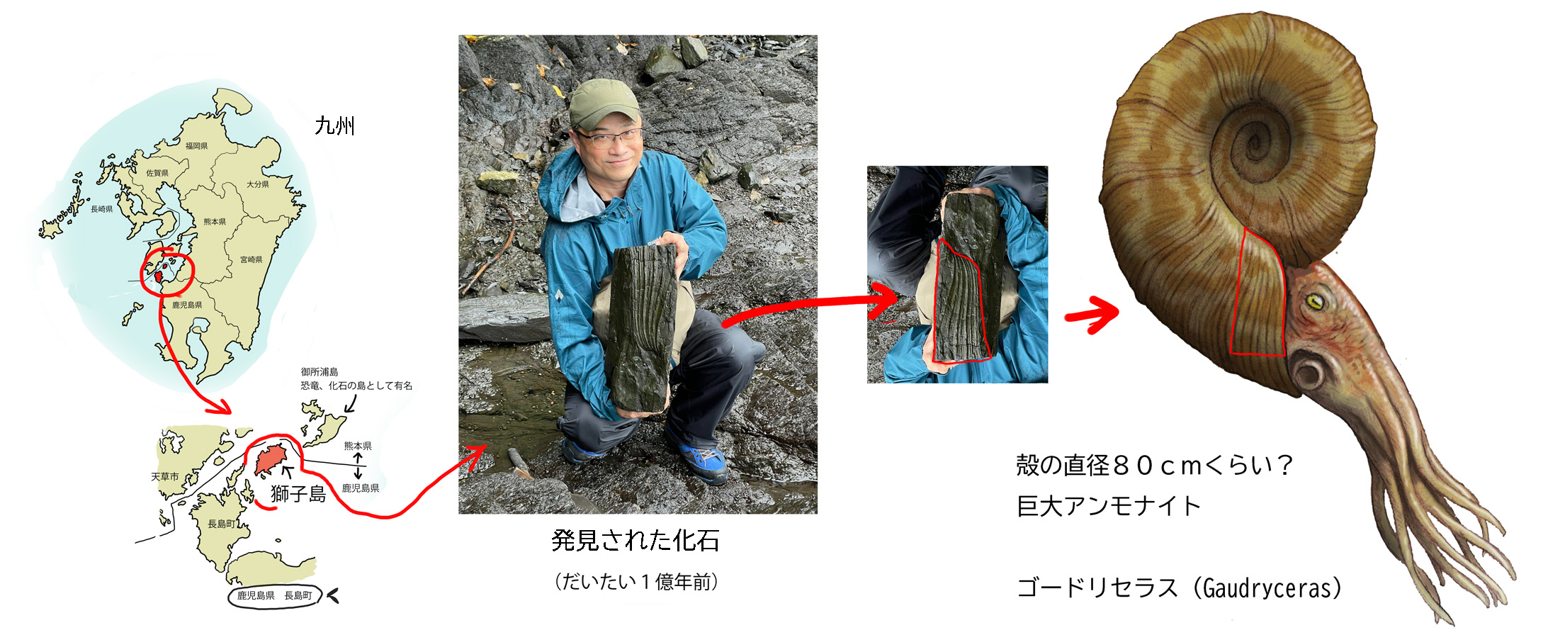 川崎悟司 on X: 川崎悟司 on X: