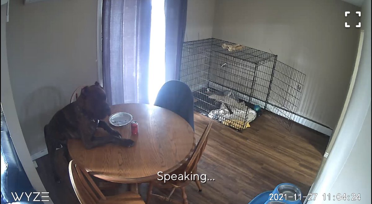 Graph__e tweet media