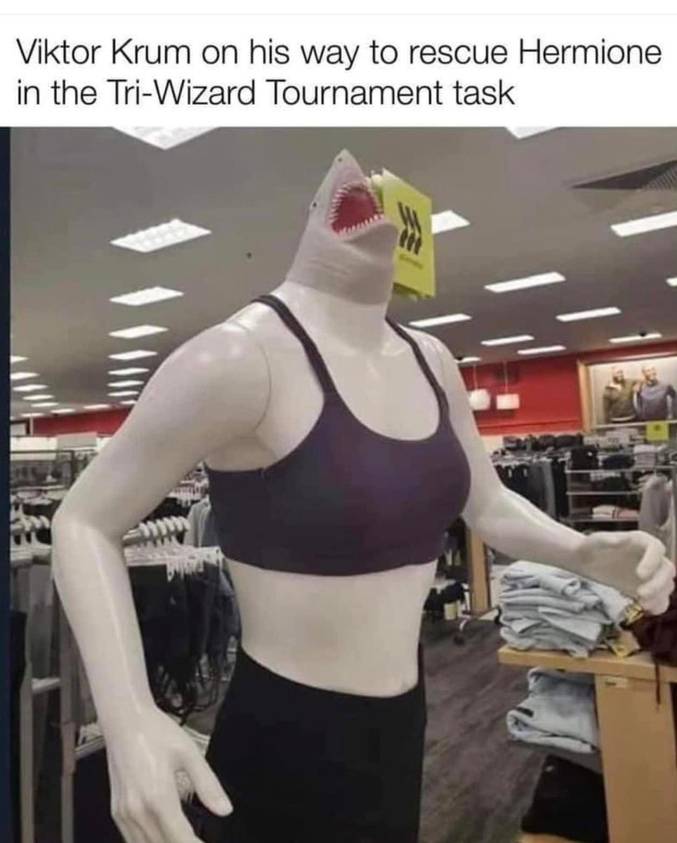 TheDailyHPotter's tweet image. We have no words, this is so accurate 😂