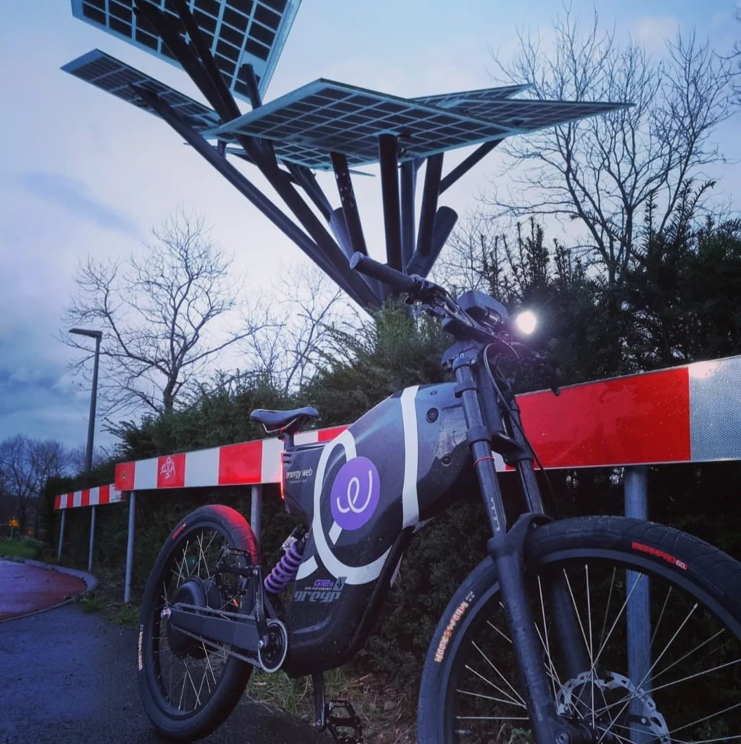 Walter Kok tweet media