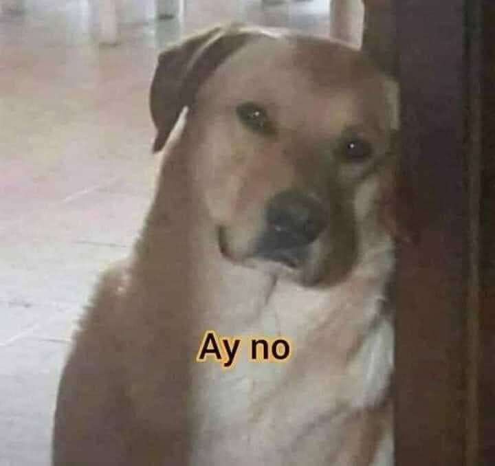 colEsLaChimba's tweet photo. @CosmoEditorial @KayurkaR Ok creo que voy a tener que conseguirme un Sugar cuanto antes, si cosmo sigue sacando libros asi a lo loco tendre que conseguir mínimo tres https://t.co/DElwgRS8pk
