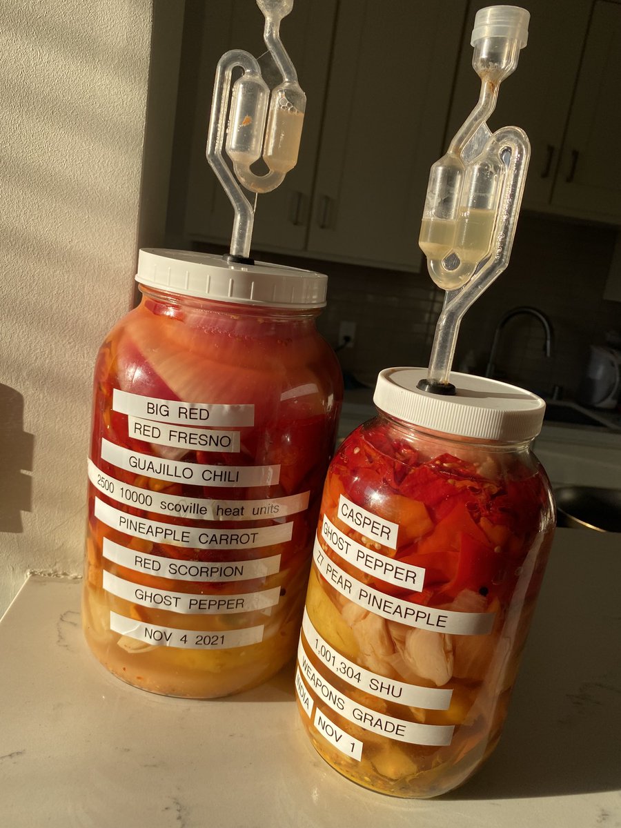 The kids are alright