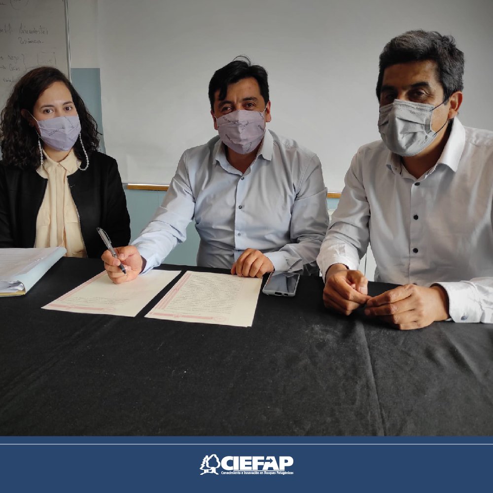 Ciefap tweet media