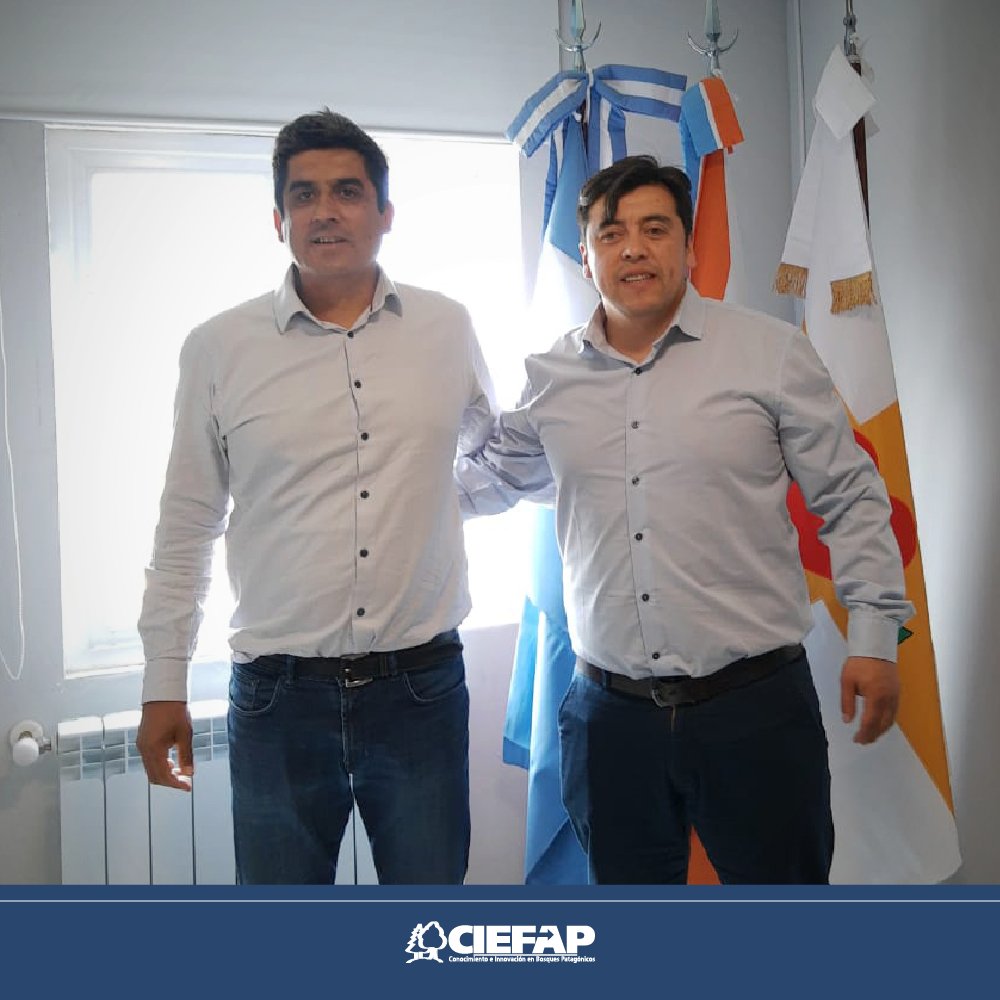 Ciefap tweet media