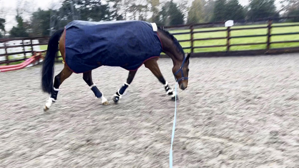 Hannah Bishop tweet media