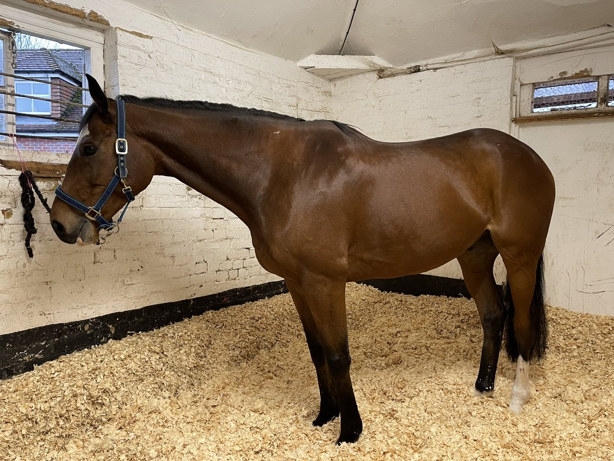 Hannah Bishop tweet media