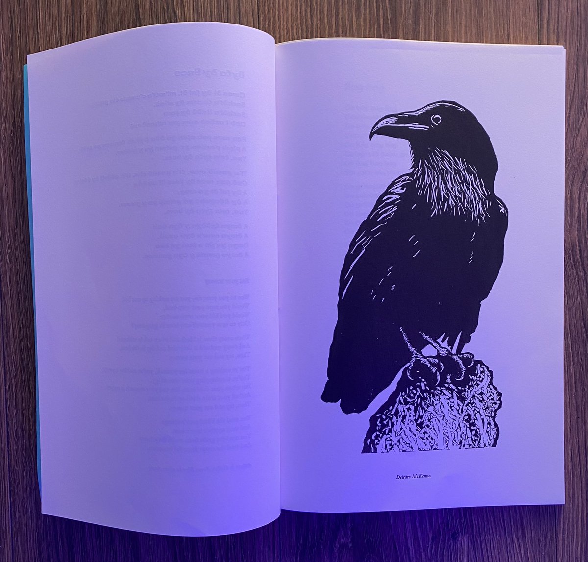 poncpress's tweet photo. COGAR the book is for sale at Other Voices Cogar art space. Collectors item. €60 &amp; 50% goes to charity @OtherVoicesLive @Ainenic @DinglePeninsula @deirdre_mckenna https://t.co/WOwKrpfGT2