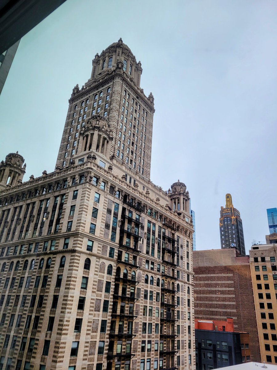 leleb3279's tweet photo. Morning views🥰 #TheWit https://t.co/LDQclsbVFZ