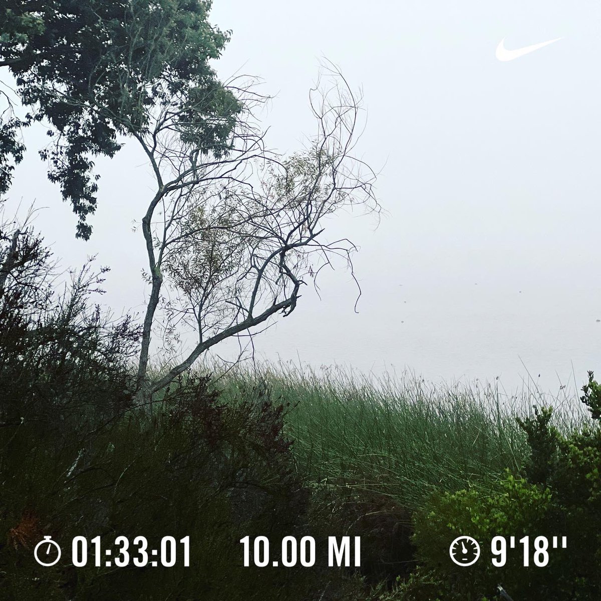VenuVanama's tweet photo. #setgoals #eatright #Be Resilient #tellyourself you do it and #enjoy the outcome .. This is last run of the month and in fact the best month of the year #66.22 miles with a 9’22” speed. #happyrunning #fightlazylifelong #sandiegorunners #lakemiramar #venuvanama🏃‍♂️🏃‍♂️👊👊 https://t.co/XhVJkCLPlb