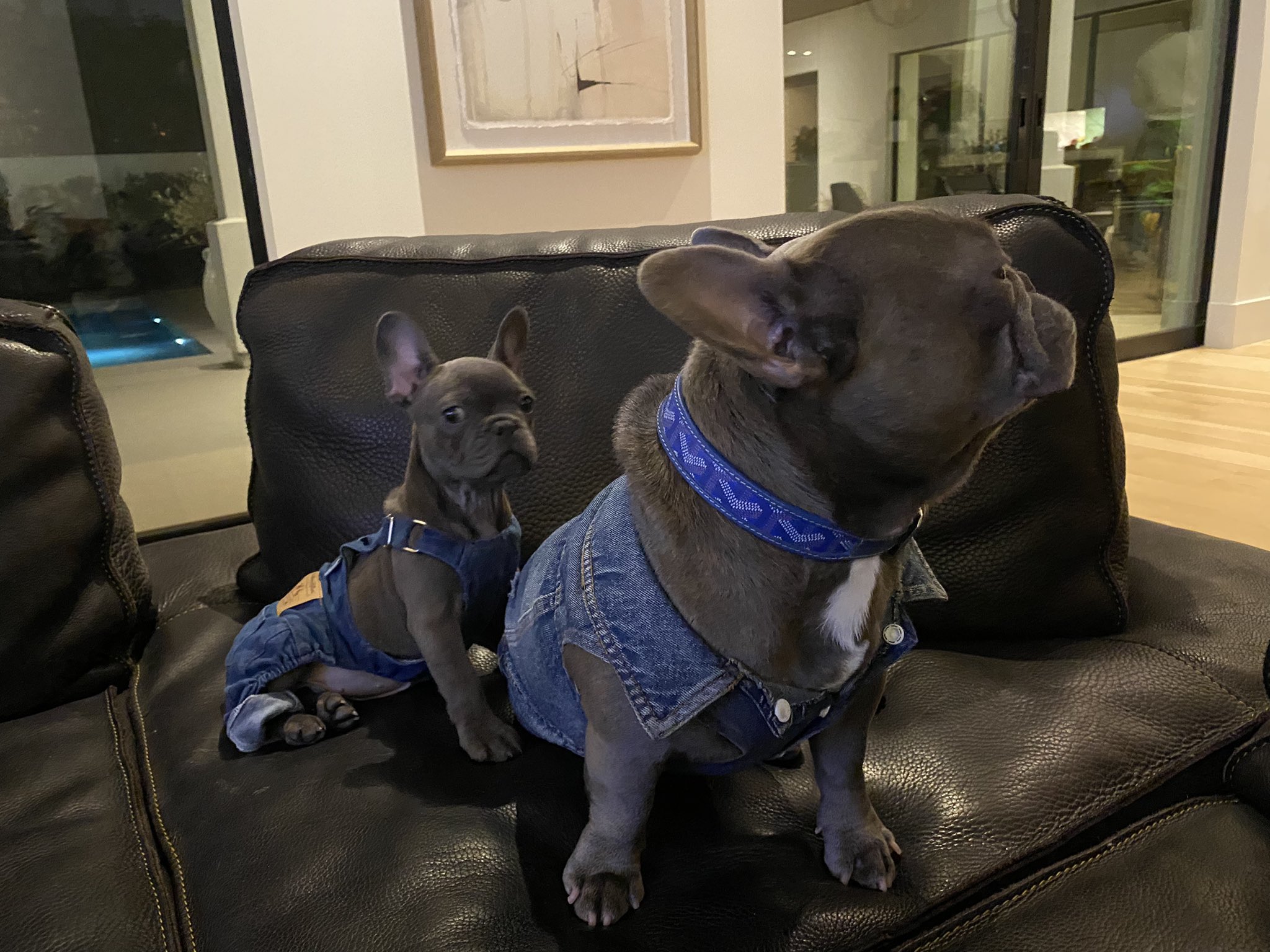 TW Pornstars - 3 pic. TINA SNOW. Twitter. Thanksgiving was fun 🧡. 5:06