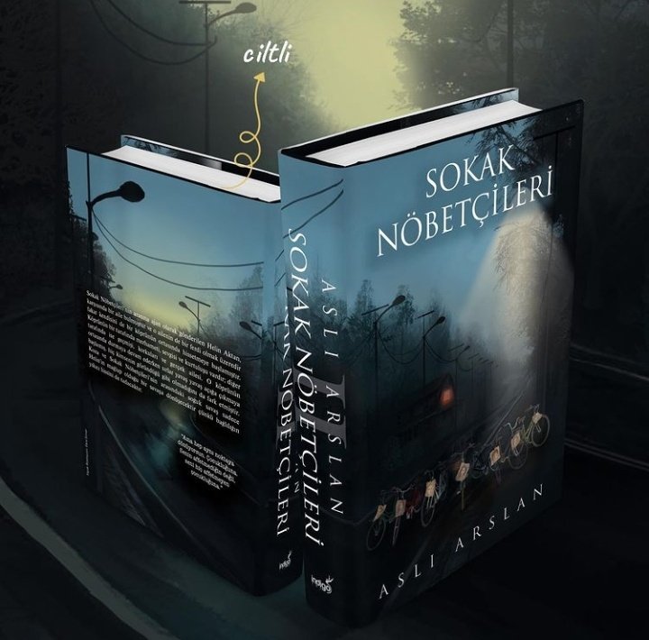 Nasıl                           Nasıl
başladı                 devam ediyor
#sokaknöbetçileri | @asliarslaan