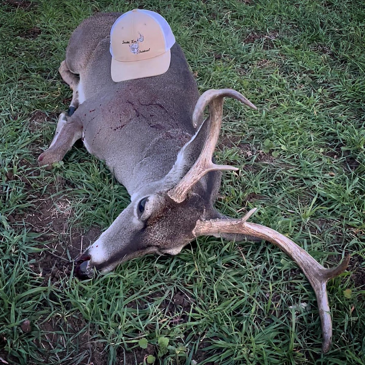 SmokeEmOutdoors's tweet photo. Calvin got one on the ground this week in good ole Fredericksburg, Tx. Big cull 6 had a little 6.5 for Thanksgiving. Y’all stay tuned for the footage! #SmokeEmOutdoors #SmokeEm #Fredericksburg #Texas #CullBuck https://t.co/9xwiABUZVQ