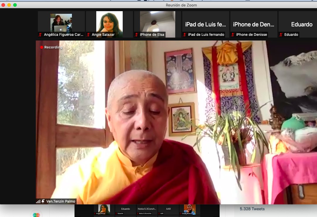 alinnea.mx tweet media