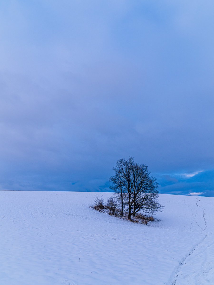 Kiknak's tweet photo. Zima klepe na dveře…📷⛄️🌨 #libhost #winter #snow #travel #nature #landscapes #photography #czechrepublic #sonyalpha #bealpha #mapycz #peakdesign https://t.co/ypu0UZkuoH