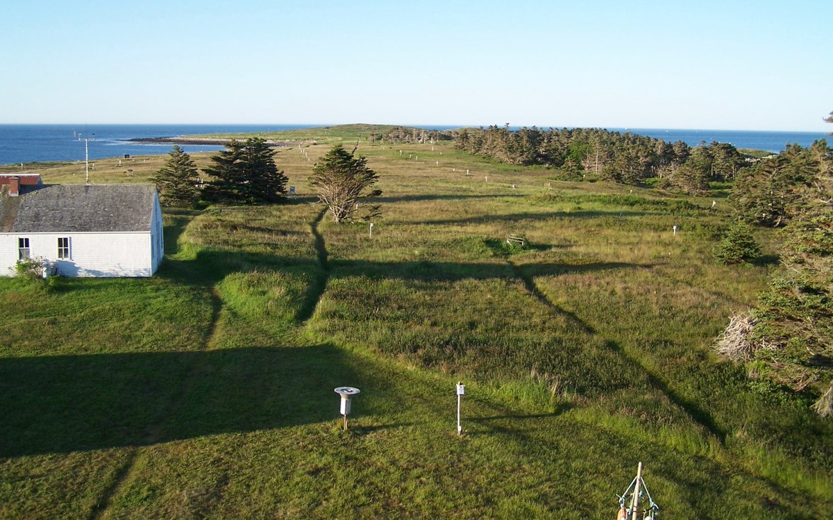 RyanNorrisSci's tweet photo. New paper on plasticity in timing of breeding in Kent Island Savannah sparrows is out this week in Ecology (@ESAEcology)! Congrats to everyone involved, especially @jbburant, @ewh_wild (from his undergrad thesis...not too shabby!), and @killerwhelan.

https://t.co/4HIqg3DAFh https://t.co/C9KDfk6kQS