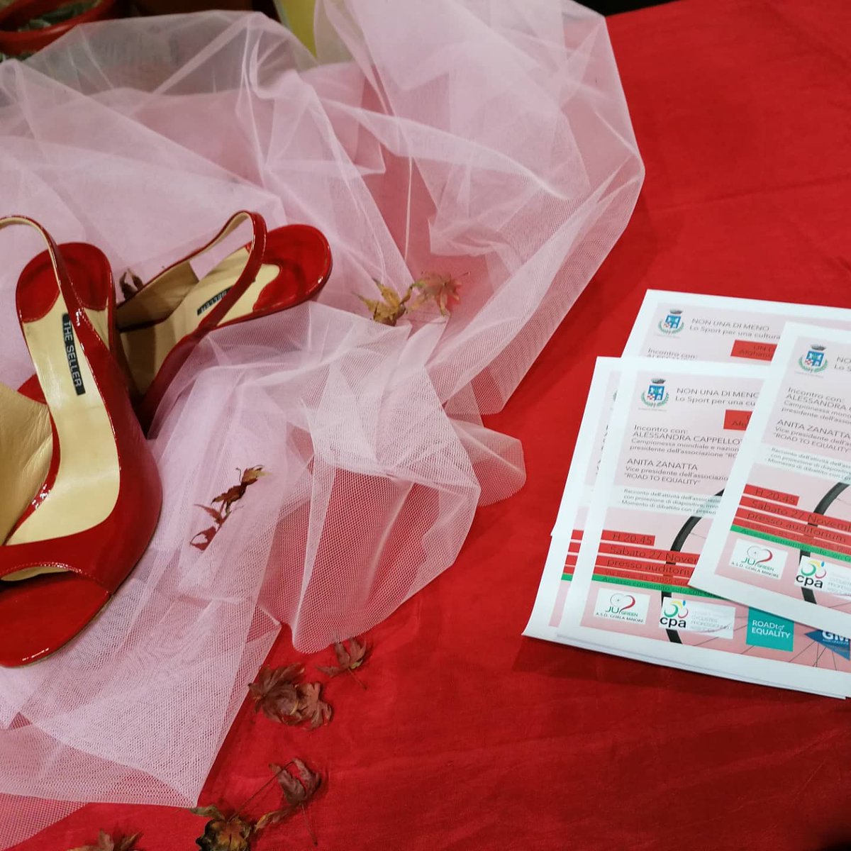 Anita Zanatta tweet media