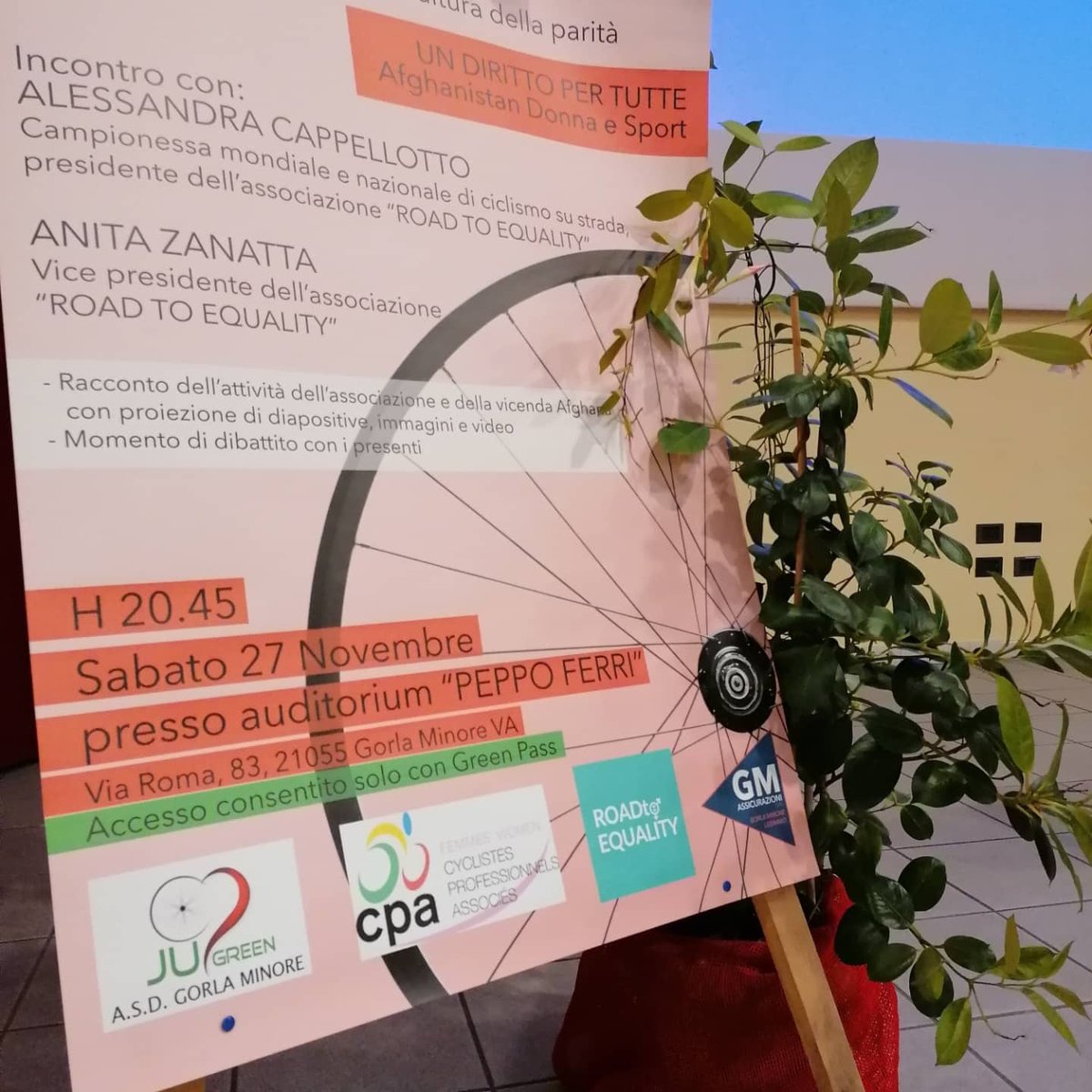 Anita Zanatta tweet media