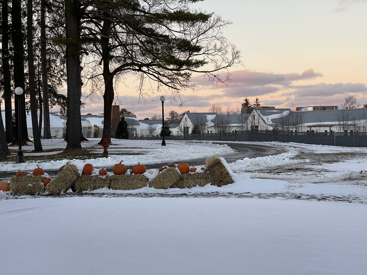 NYCRobyn 📷 tweet media