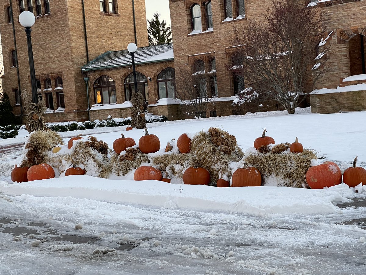 NYCRobyn 📷 tweet media