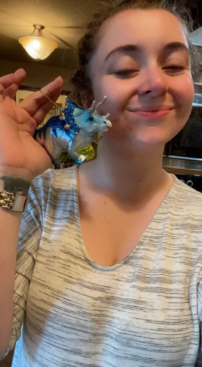 TaylorAllen520's tweet photo. My Christmas ornament from mom this year is a triceratops which I can only assume she’s NOT annoyed by the amount of @tryguys videos I make her watch. @KeithHabs @korndiddy @nedfulmer @EugeneLeeYang https://t.co/83245jwAde
