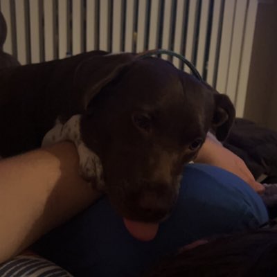 MatthewTremain's tweet photo. #NewProfilePic https://t.co/moq05AsuEM
