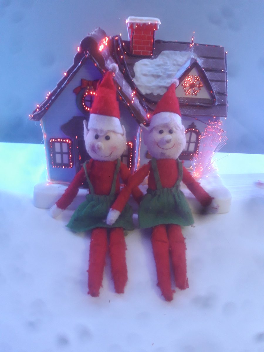 michealwebstet's tweet photo. Best of luck @Loughmore_Gaa tomorrow as they try to achieve the illustrious double, even the "Elfs on the Shelf" are rooting for the " Little Parish " #neverbesh 🇧🇾 @StephenGleeson @TippFMSport @TipperaryGAA https://t.co/LGak7zxUA9