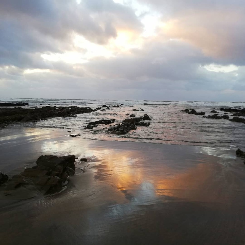 Aeolianharpist's tweet photo. Freezing walk on the beach today, and my lovely old rock coloured hound 💕🐾
#northcornwall #northcornwallcoast #deerhoundsofinstagram #deerhounds #deerhounds_of_the_world #beachlife #beachday #coastalwalks #winterwalk #winter https://t.co/7GMXLnWJRq https://t.co/tzLqMtBBxL