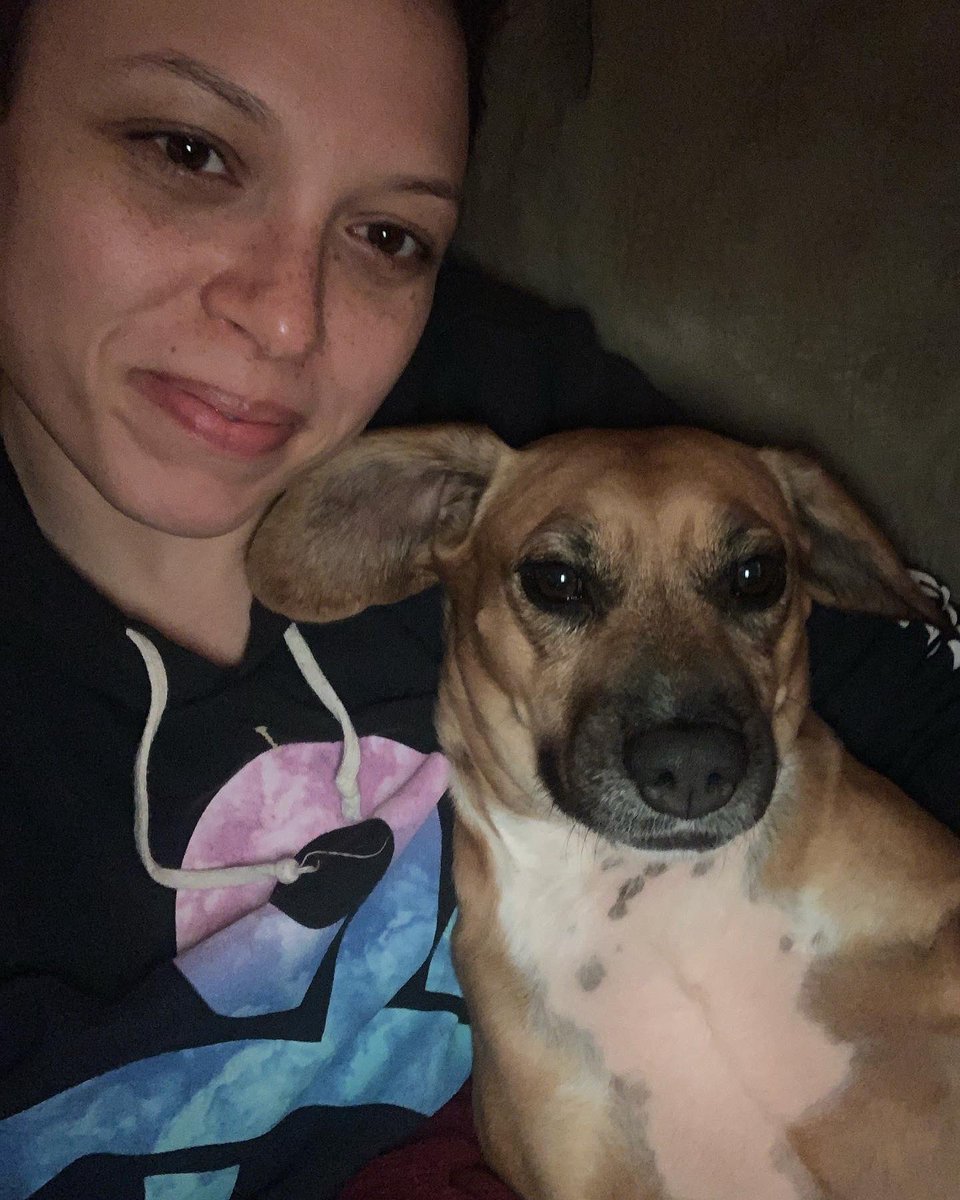 ttparks11's tweet photo. It’s our #gotchadayanniversary🐾! So grateful for our Puppin, Maple! #lifeisbetterwithpets https://t.co/nRDbsetRBd