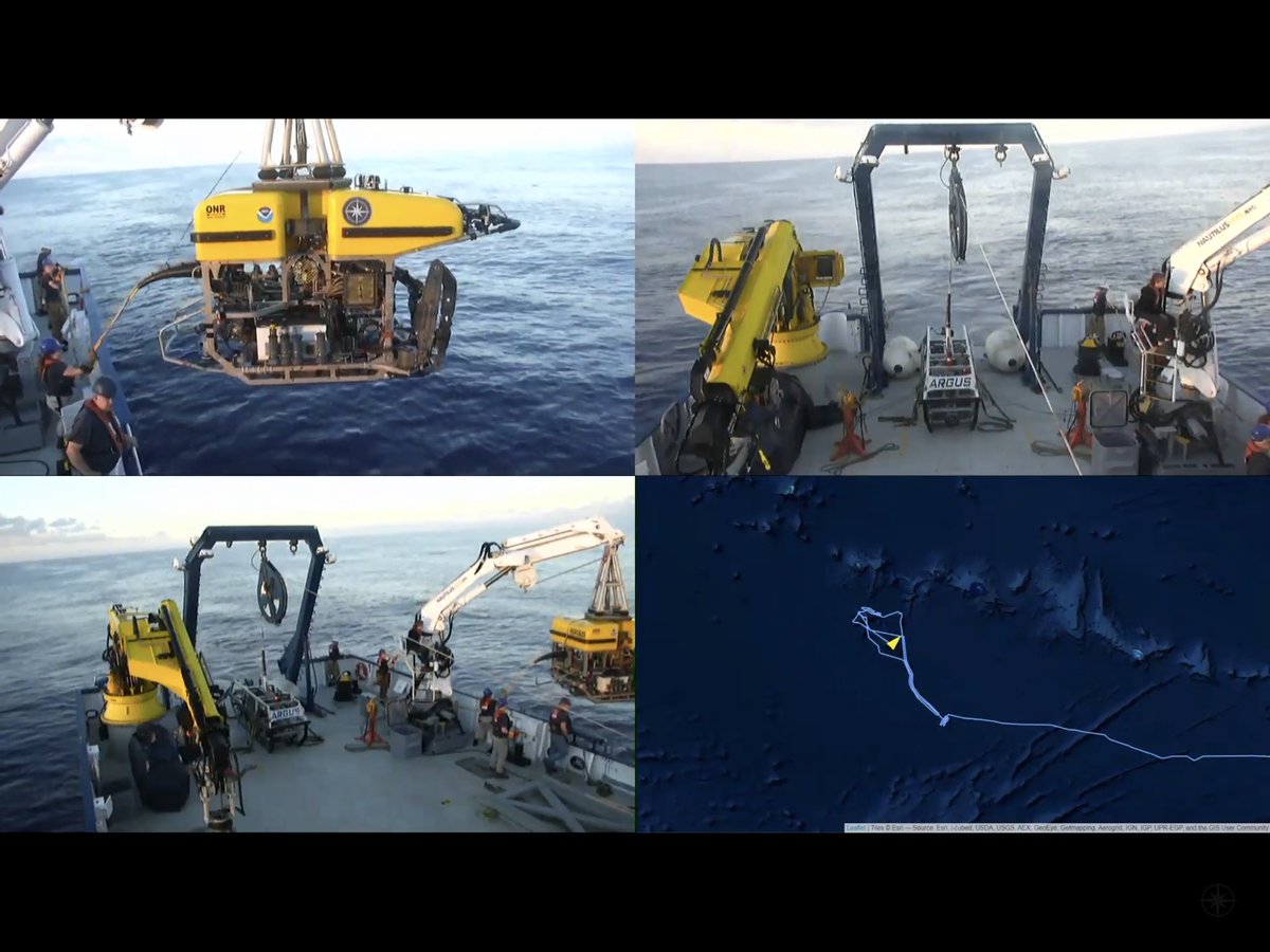 KBYip's tweet photo. Hercules ROV is in the water
Tamara Seamount
#deepSeaTV!
#PapahānaumokuākeaMNM  #nautiluslive https://t.co/oXjRQYjlUB