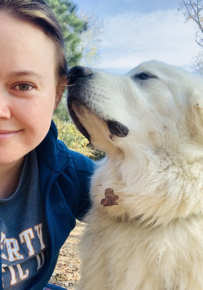 sjbouknight's tweet photo. I’m obsessed with this dog 🤍 He was always the chunkiest of the pups in the litter by like a solid 20%🤣  #LGD #LivestockGuardianDog #GreatPyrenees #Puppy #PuppyLove #HappyPlace #MamasBoy #DogsofTwitter #PuppiesofTwitter #PetsofTwitter #MentalHealthCheck #PhDLife #DogsofScience https://t.co/aclIZtXzhZ