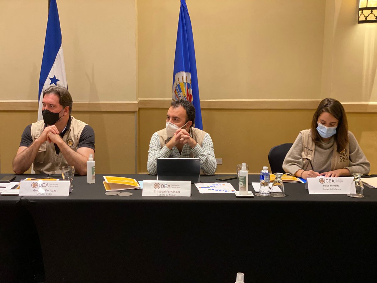 OEA_oficial's tweet photo. La Misión de Observación #OEAenHonduras conversó con representantes de la Red Latinoamericana de Jóvenes por la Democracia sobre el proceso electoral y las #EleccionesGenerales2021 https://t.co/nftZt4eZTV