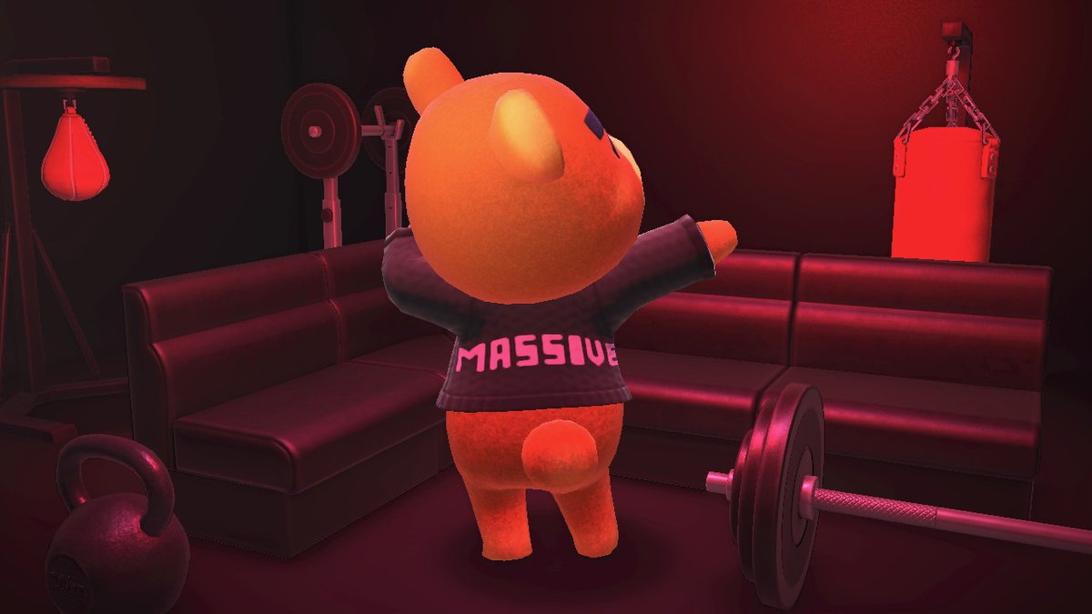 TheoVelociraptr's tweet photo. teddy is a model for #massivegoods https://t.co/YZXRJghEfe